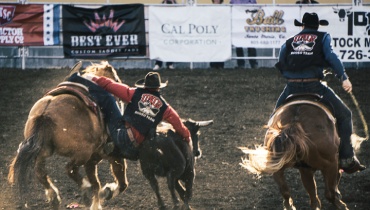 More Info for Another Sample Event